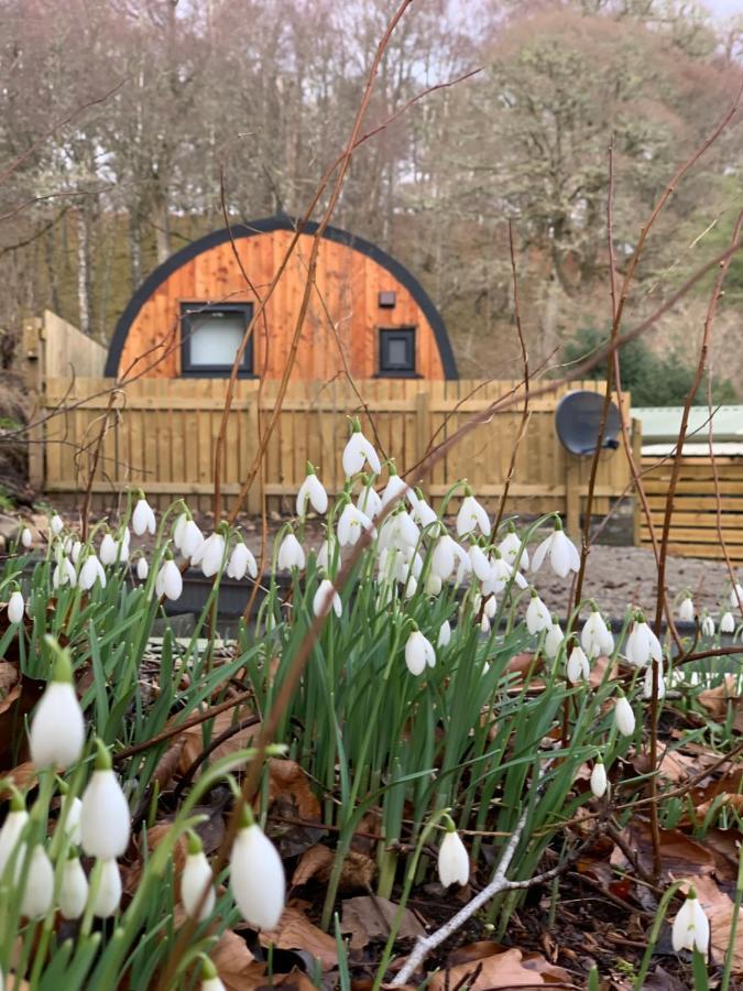 Loch Ness Woodland Pods Hotel Drumnadrochit Kültér fotó