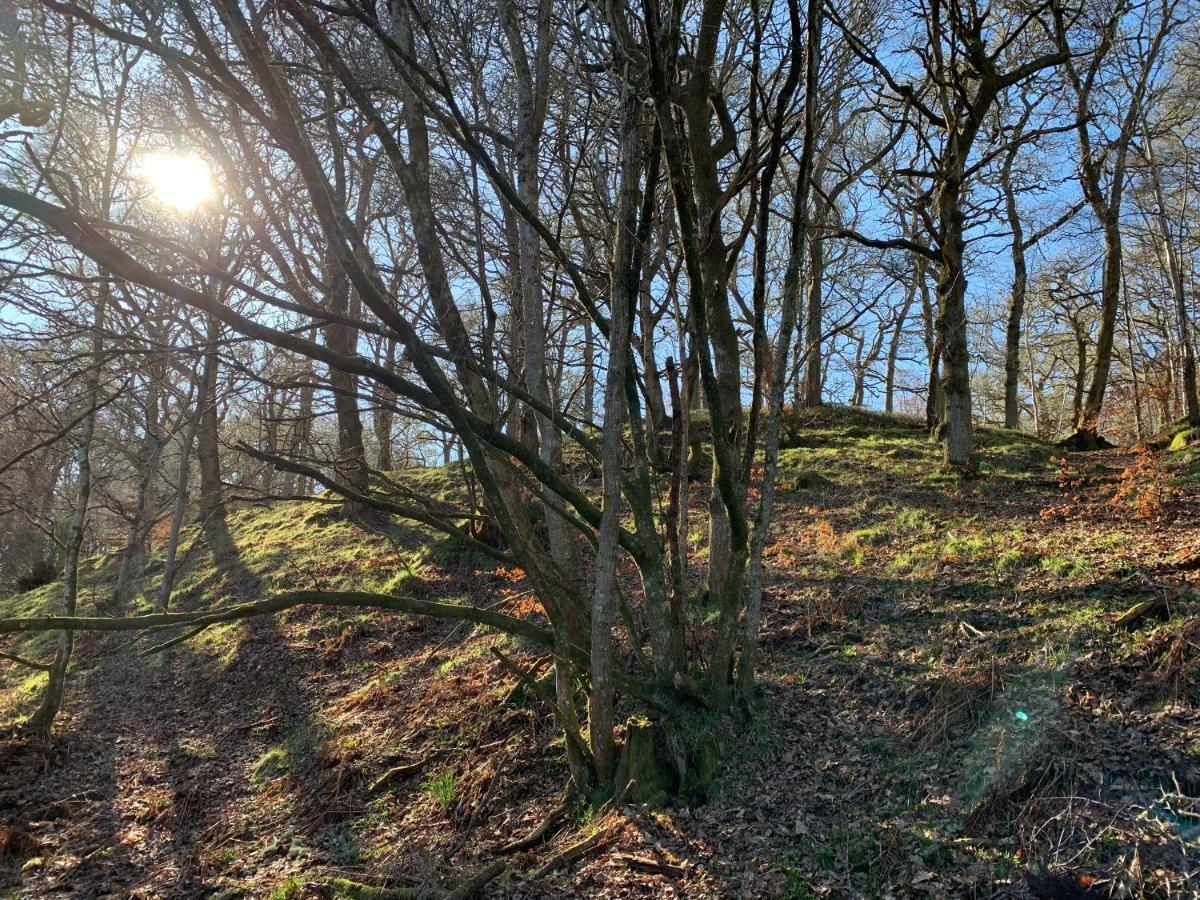 Loch Ness Woodland Pods Hotel Drumnadrochit Kültér fotó